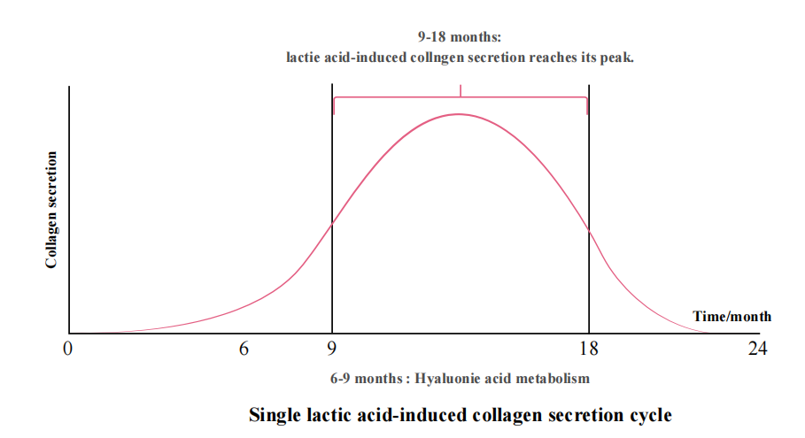 PLLA 膠原蛋白分泌
