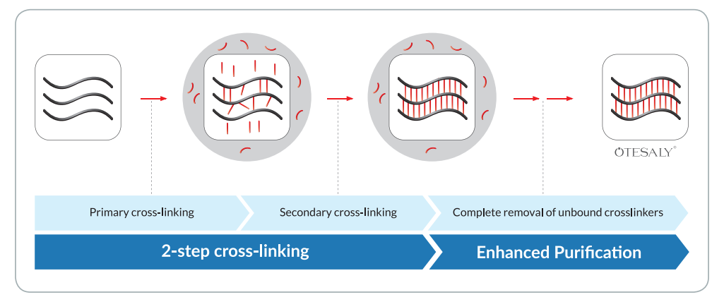 NASHA（非动物稳定透明质酸）技术